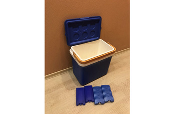 Прокат холодильник ящик изотермический переносной 27 л + 4 хладоэлемента