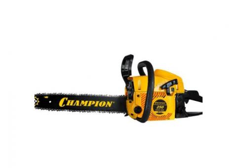 Аренда (прокат) бензопилы в Минске, цена 15 руб/сутки