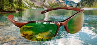 Аренда очков поляризационных ( смотрящих сквозь воду )